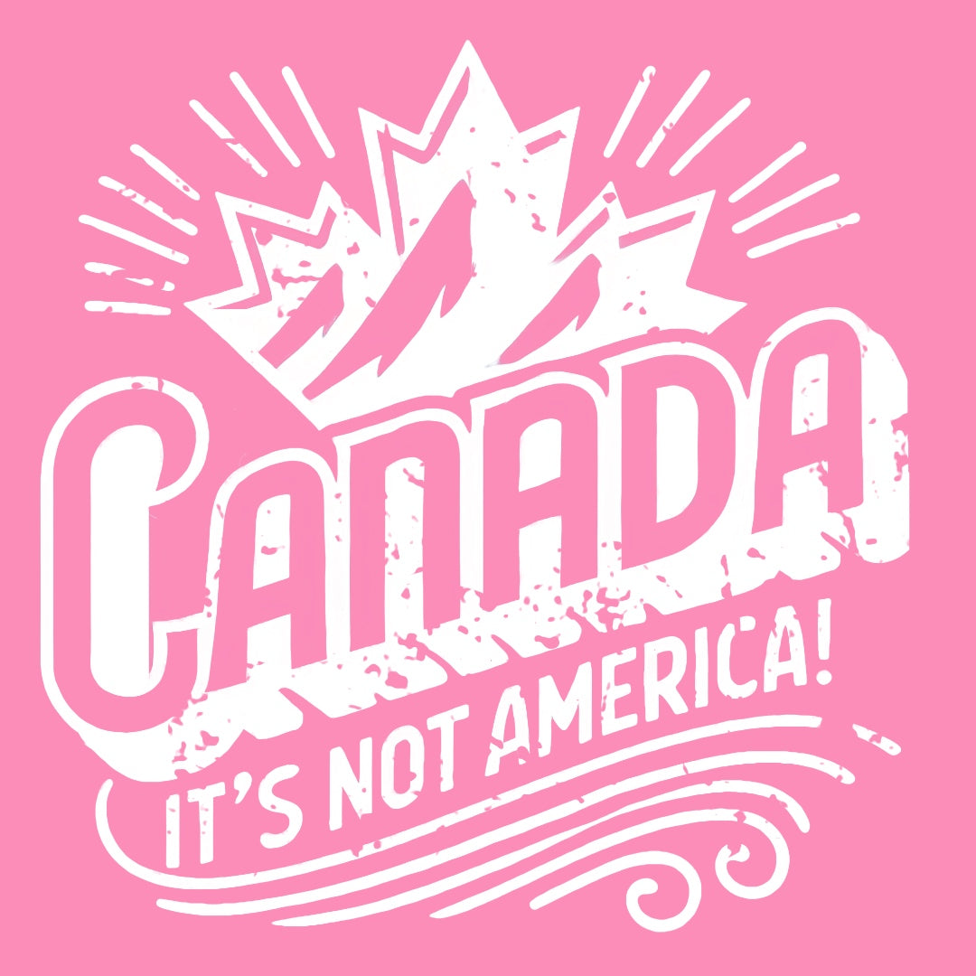 CANADA - ITS NOT AMERICA Hoodie
